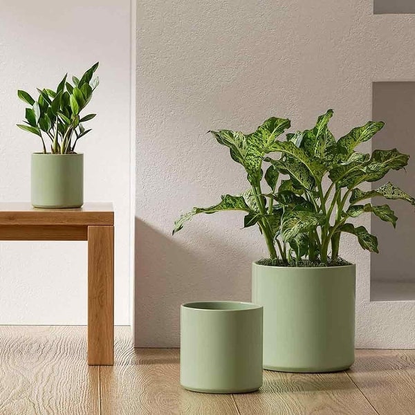 6+8+10 Inch Plant Pots Indoor, Ceramic Dot Planter Pots for Plants,  Mid-Modern Century Flower Pots with Drainage Hole and Plug - Bed Bath &  Beyond - 40341582