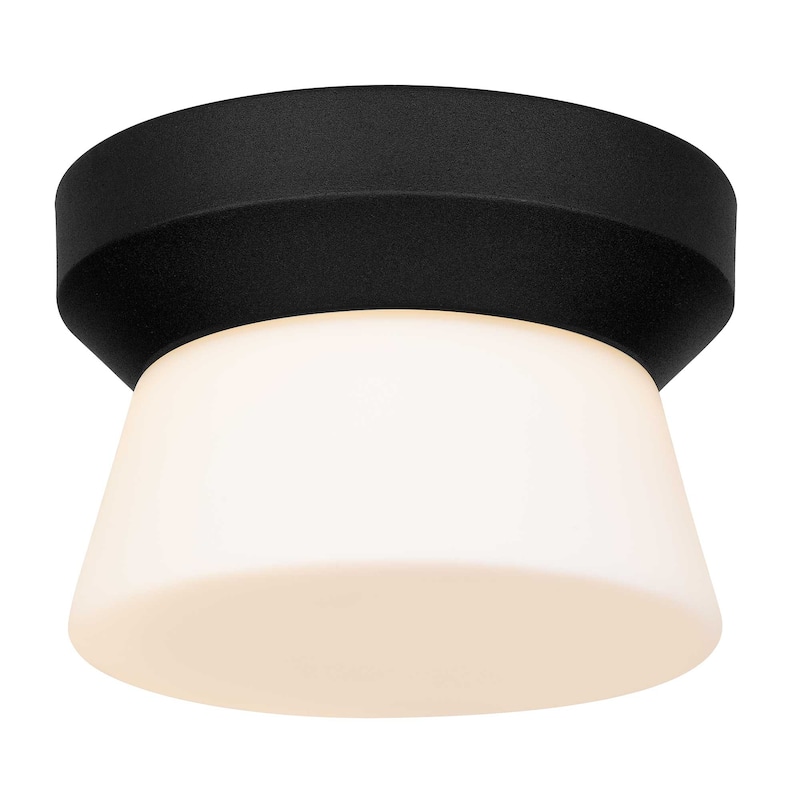 7 Inch LED Flush Mount Light Etched White Glass Shade Dimmable - Black