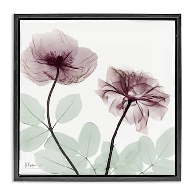 Stupell Delicate Floral Bunches Framed Floater Canvas Wall Art Design By Albert Koetsier