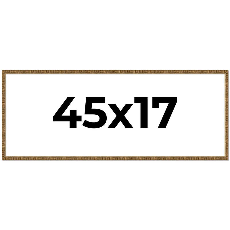 45x17 Frame Gold Picture Frame - Complete Modern Photo Frame Includes