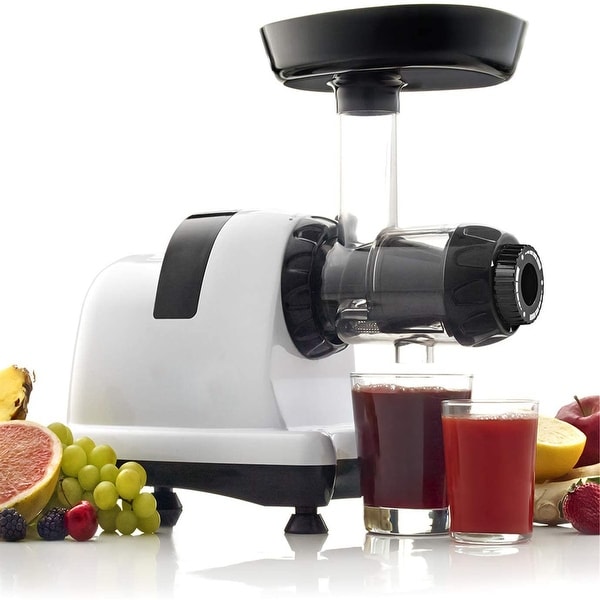 Quiet Dual Stage Slow Speed Masticating Juicer Bed Bath Beyond 31420977