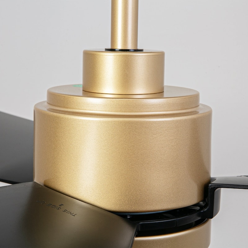 42" 3-Blade Modern Black & Gold Ceiling Fan with LED Light