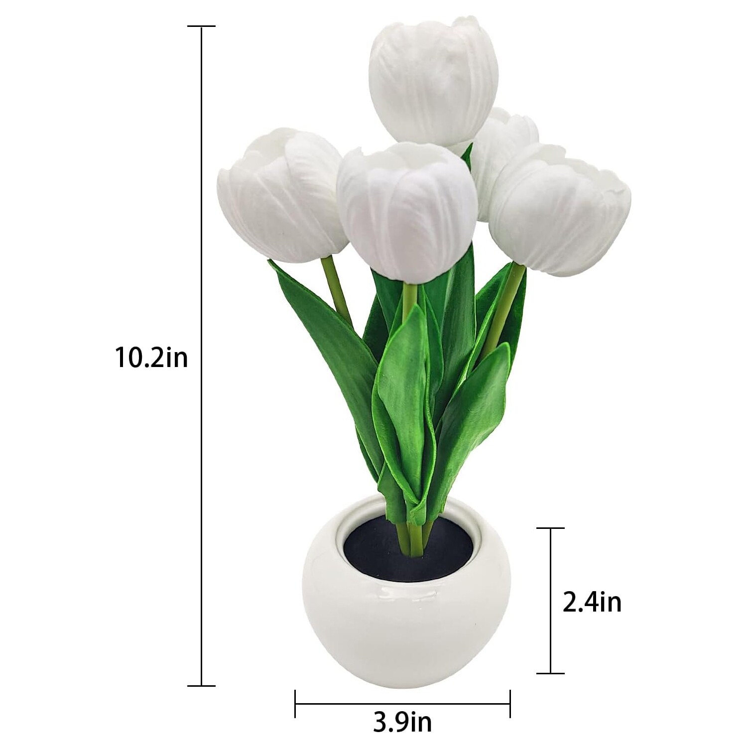 Tulip led outlet