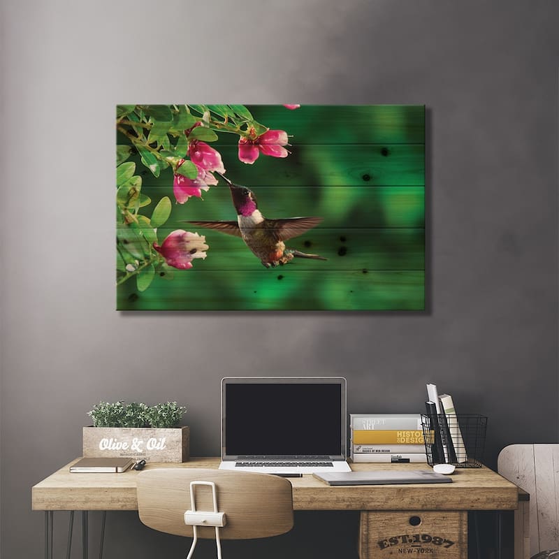 Magenta-Throated Woodstar Hummingbird Male Feeding On Epiphytic Heath, Costa Rica Print On Wood by Michael & Patricia Fogden