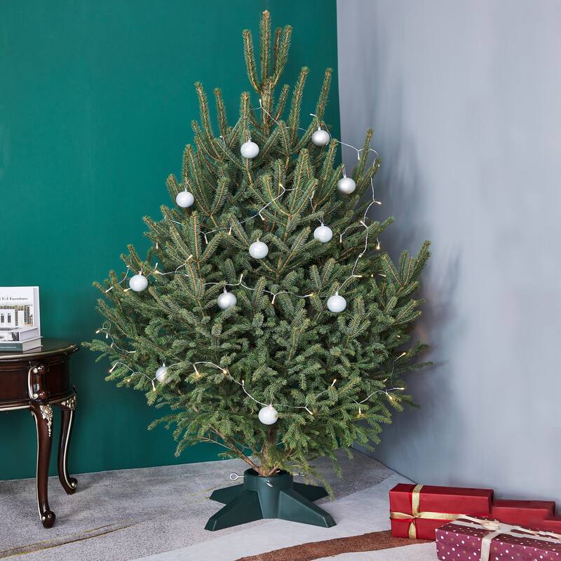Live Christmas Tree Stand - Green - For Trees up to 9 foot Tall