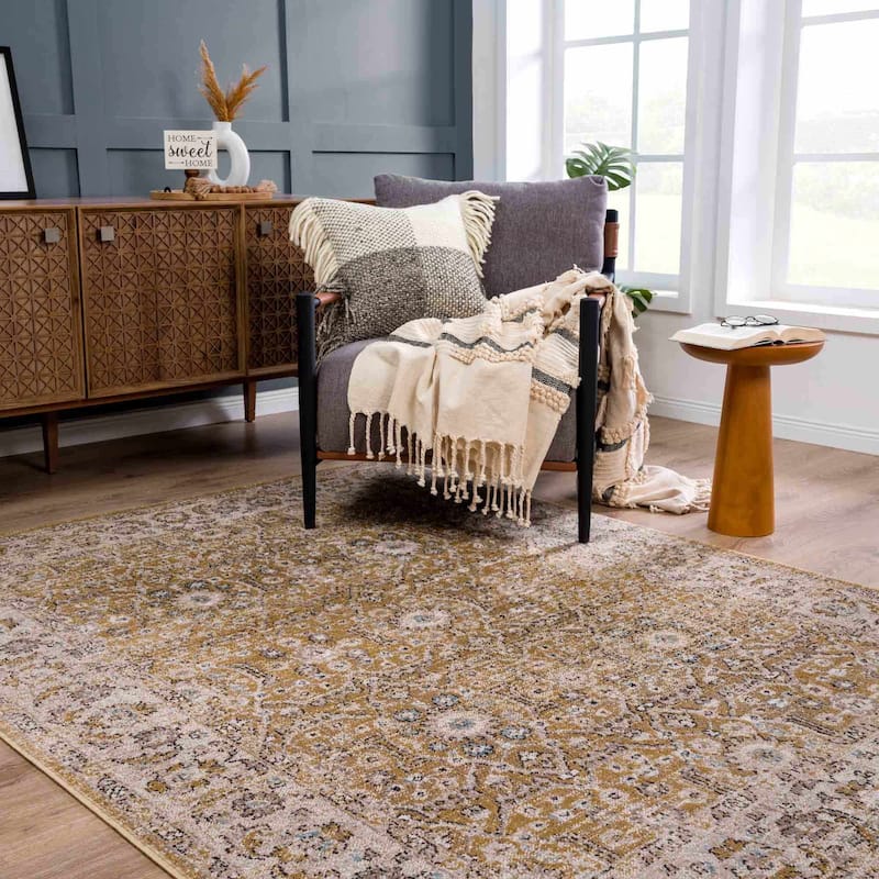 Hauteloom Anana Traditional Oriental Vintage Area Rug