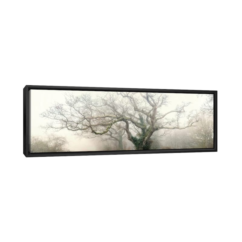 iCanvas "Panoramic Octopus Ghost Oak" by Philippe Manguin Framed Canvas Print - 24x72 - Black