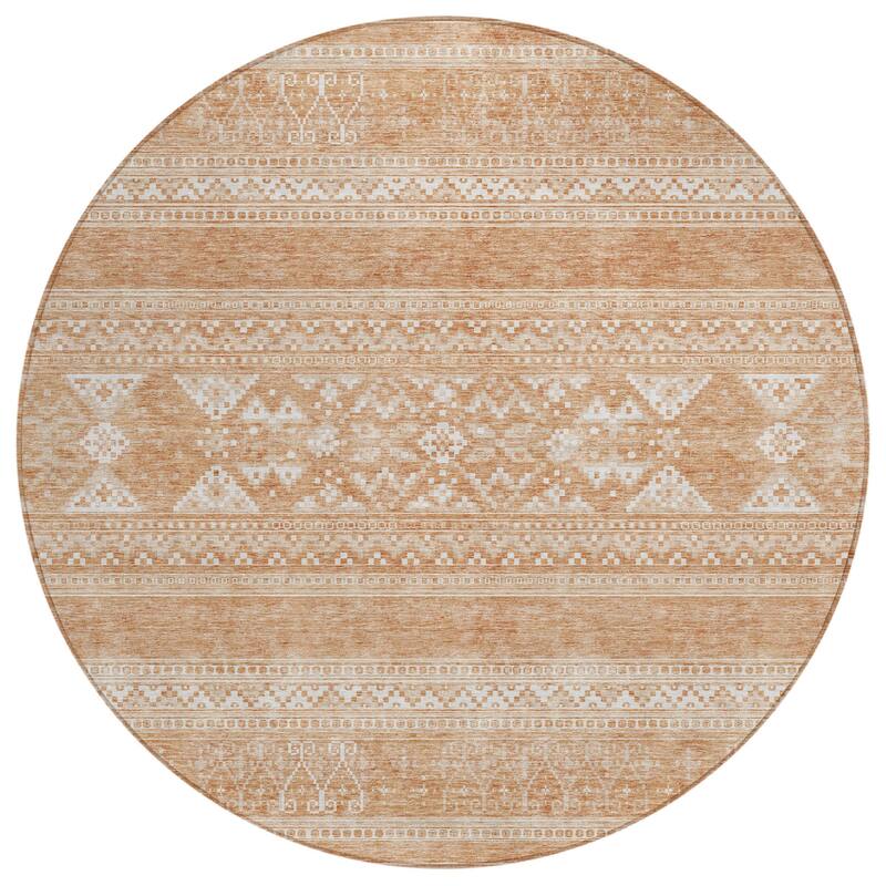 HomeRoots Southwestern Transitional Rectangle Outdoor Rug