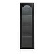 preview thumbnail 52 of 51, Solstice Metal Cabinet with 3 Adjustable Storage Shelves and Arched Glass Door
