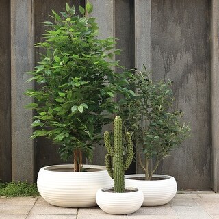 Aoodor Plant Pots with Drain Hole Set of 3,5.5x6x9 inch