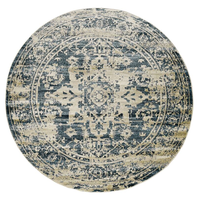 Domani Chandra Distressed Boho Traditional Rug - 7'7" x 7'7"RO - Blue