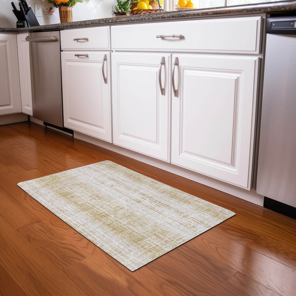 Premium Washable Super Soft Transitional Ombre Mayfield Rug