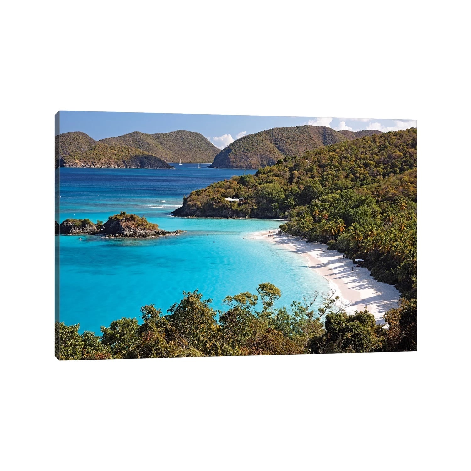 iCanvas "High Angle View of a Bay, Trunk Buy, St. John, US Virgin Islands" by George Oze Canvas Print