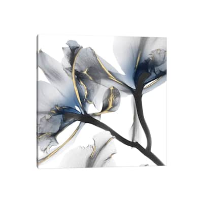 iCanvas "Indigo Luster Cyclamen II" by Albert Koetsier Canvas Print