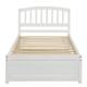 Option White