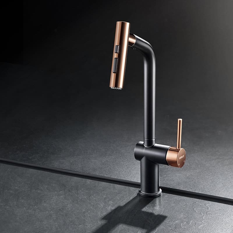HIGOLD Kitchen Faucet with Pull Down Sprayer, Cold & Hot Water Function - Black