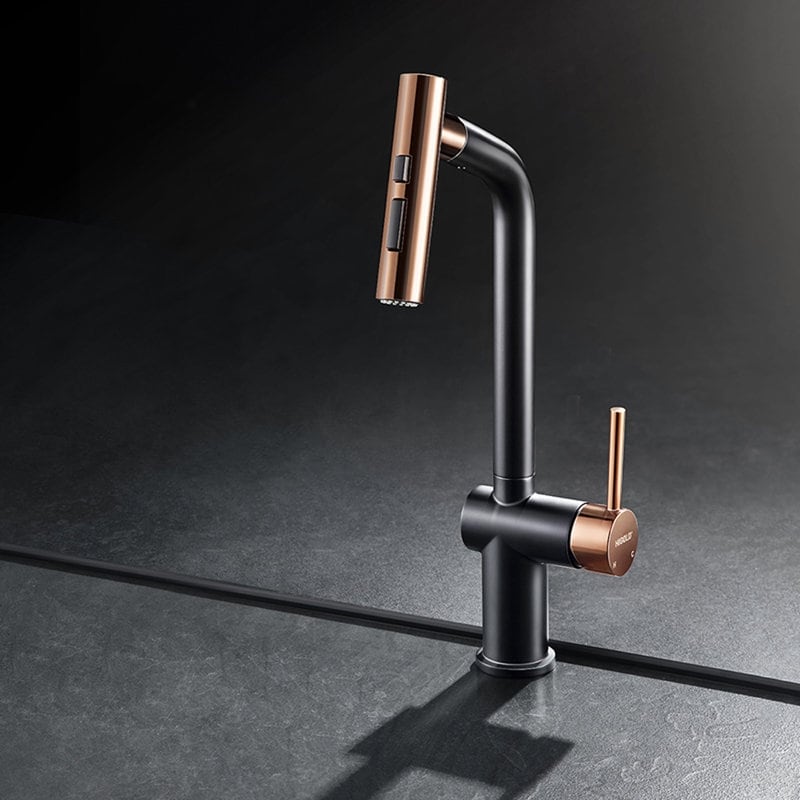 HIGOLD Kitchen Faucet with Pull Down Sprayer, Cold & Hot Water Function