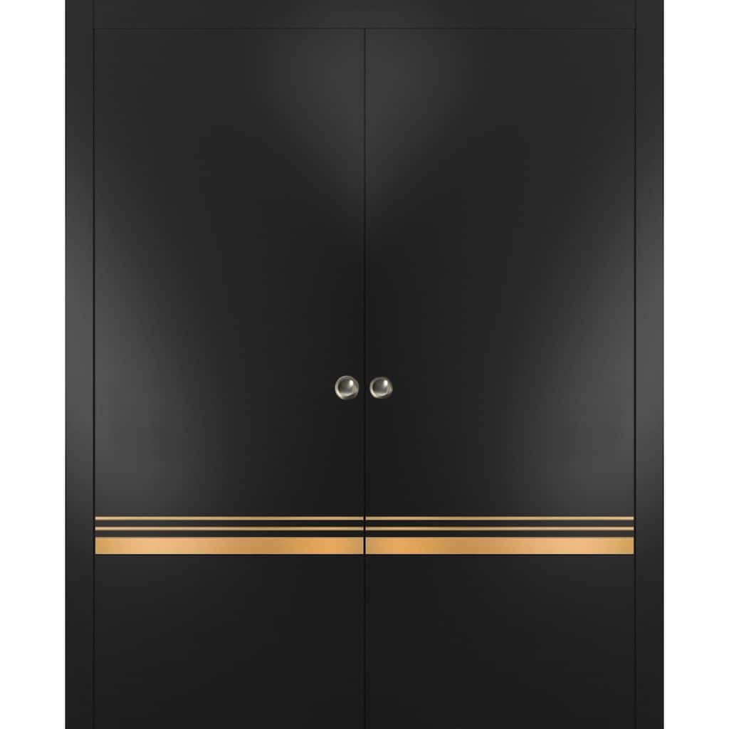 French Double Pocket Doors 36x80 Planum 2010 Matte Black Kit Trims Rail