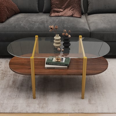 41 inch Medieval Modern Oval Glass Coffee Table, Double-Layer Storage with Transparent Top & MDF Base