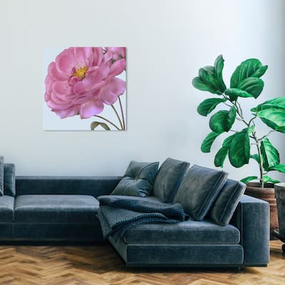Wynwood Studio Canvas Floral and Botanical Flower III Pink and Pastel Blue Traditional Wall Art Canvas Print