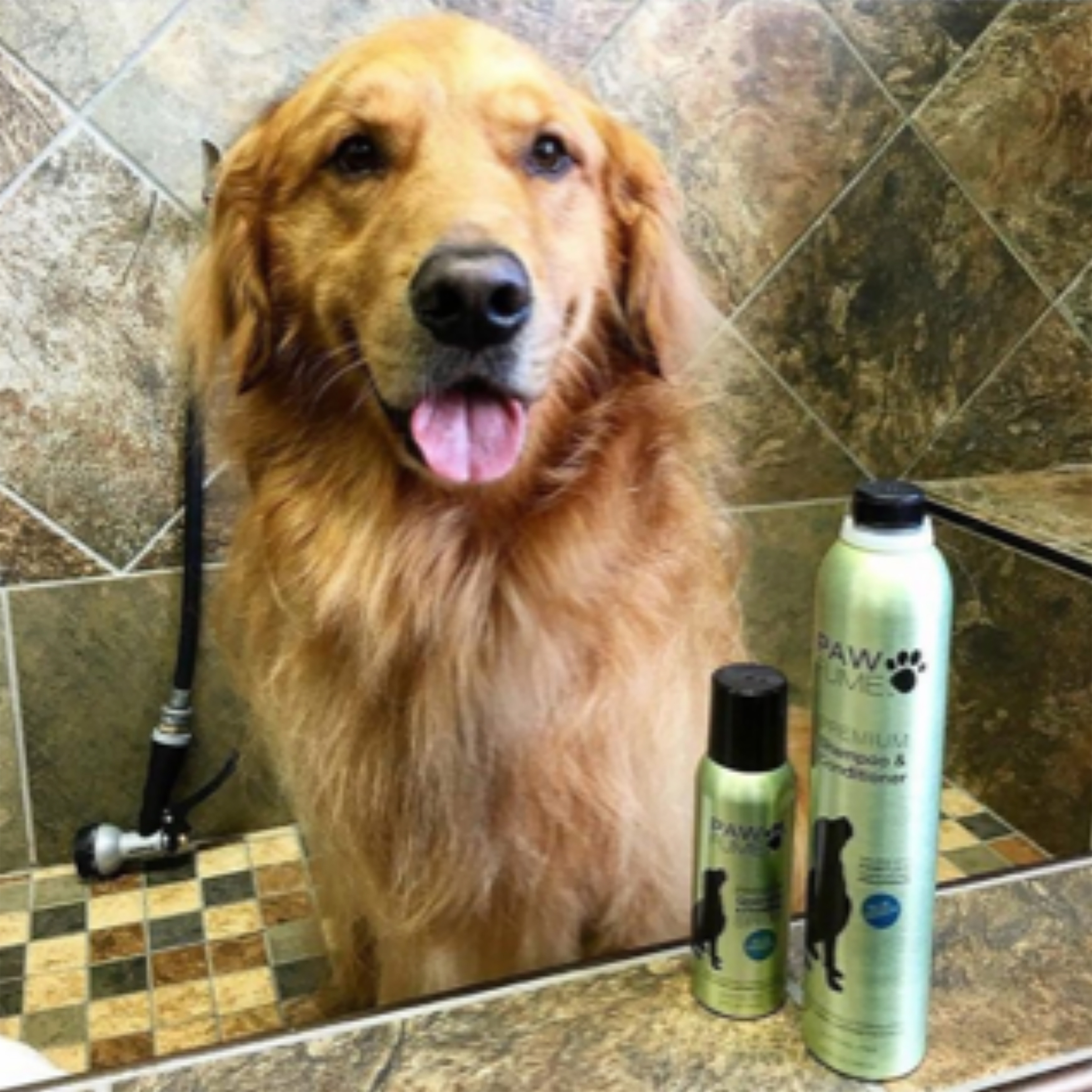 Pawfume Blue Ribbon Grooming Spray with Shampoo Conditioner Set