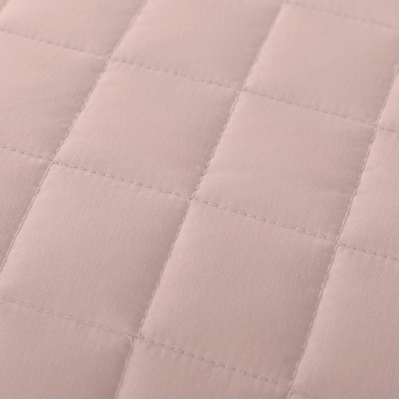 Velvet Trim Down Alternative Blanket
