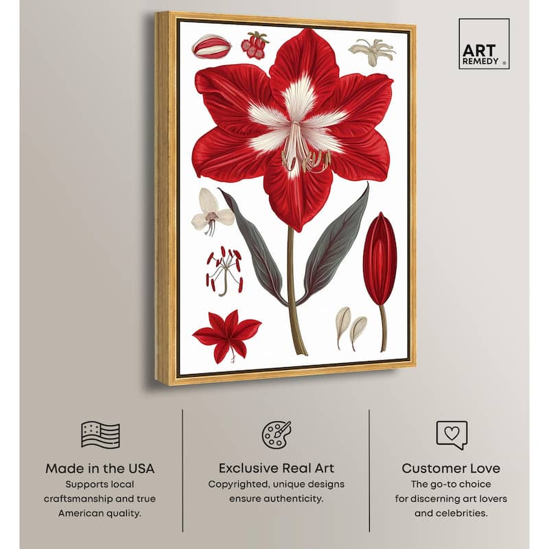 Amaryllis Anatomy Canvas by Art Remedy