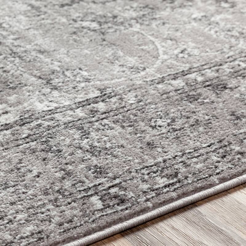 Livabliss Antonie Distressed Updated Traditional Area Rug