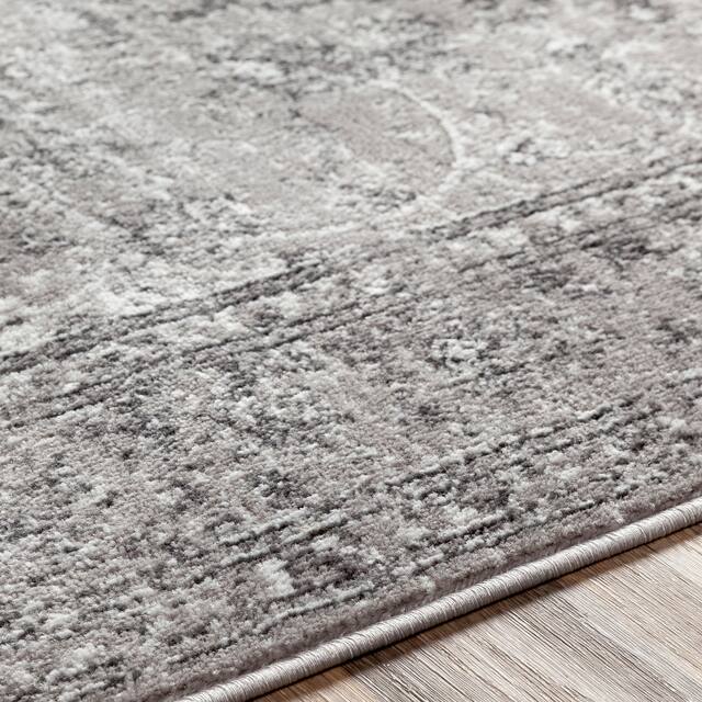 Artistic Weavers Antonie Distressed Updated Traditional Area Rug