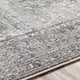 Artistic Weavers Antonie Distressed Updated Traditional Area Rug
