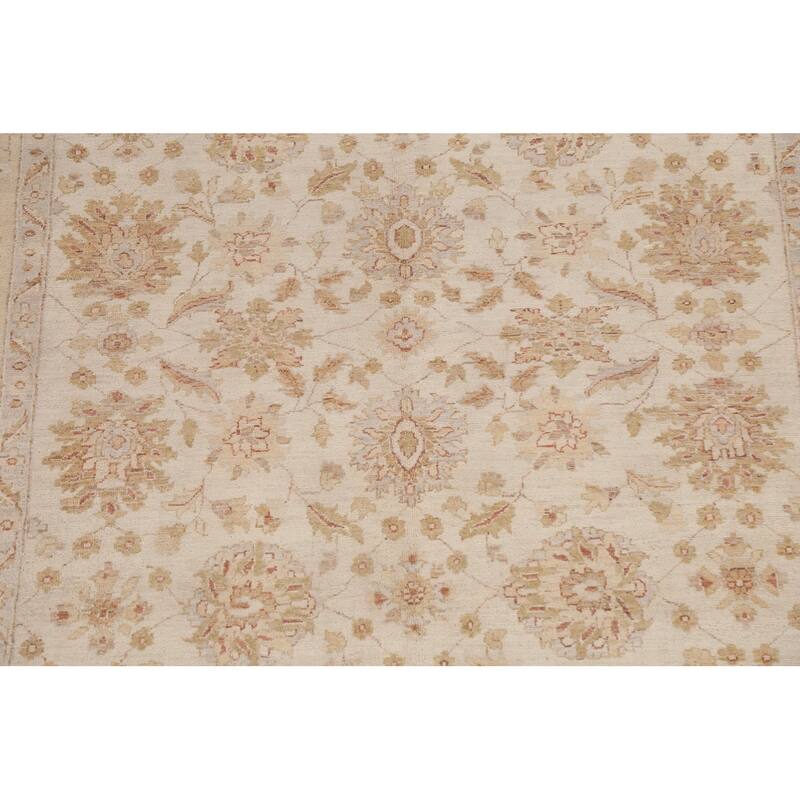 Vegetable Dye Chobi Peshawar Traditional Wool Area Rug Hand-knotted - 6'5" x 9'3"