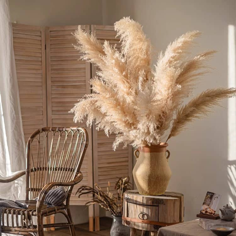 RusticReach Natural Reed Stem 10 Stem Set 51" Tall - Beige