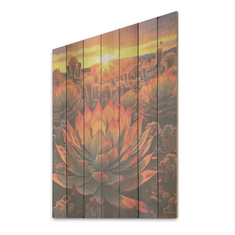 Designart "Green And Red Succulent Cactus Field Sunset I" Succulent Wall Art Red Wood Panel On Natural Pine Wood