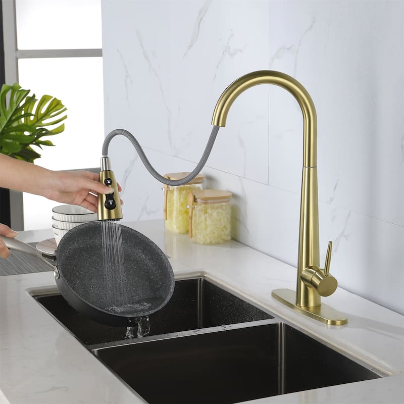 Kitchen Faucet with Pull Down Sprayer Stainless Steel