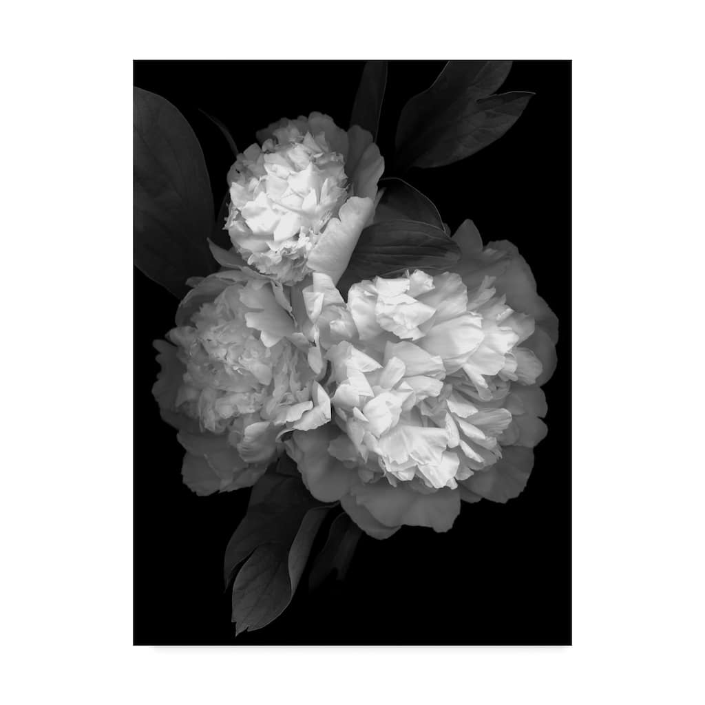 Susan S. Barmon 'Peony 3 Black And White' Canvas Art