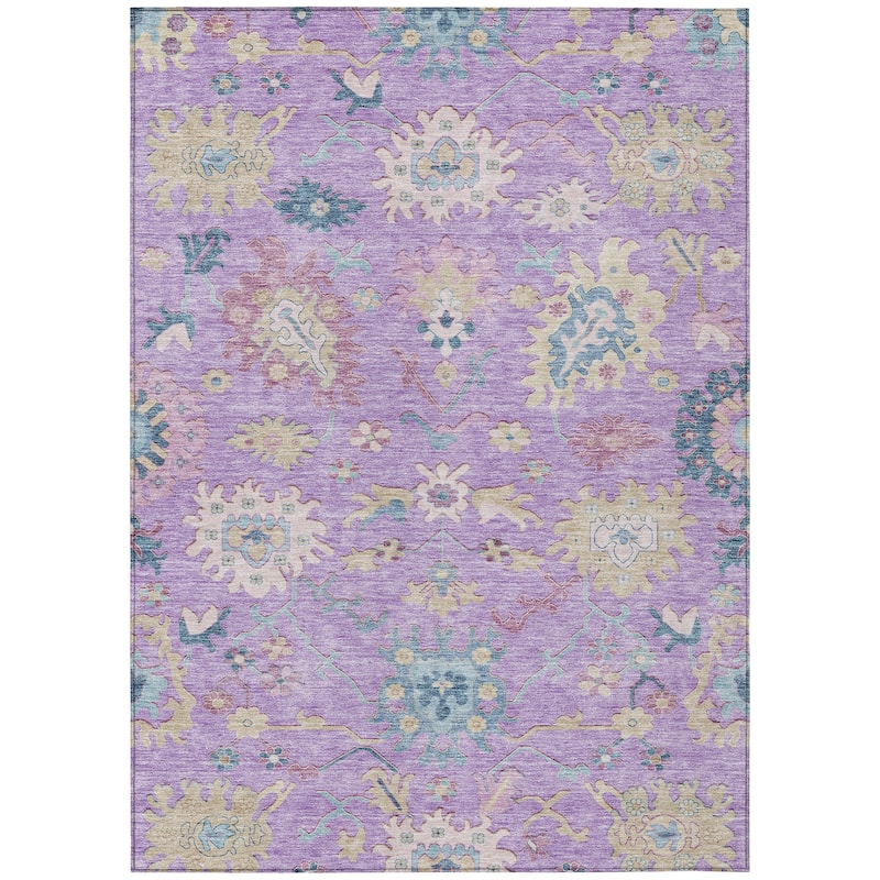 Machine Washable Indoor/ Outdoor Causal Traditional Chantille Rug