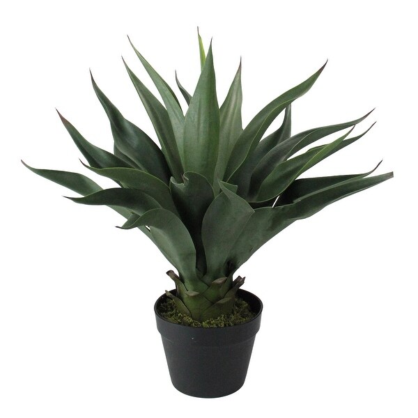 Shop 23.5" Potted Green Agave Americana Artificial ...