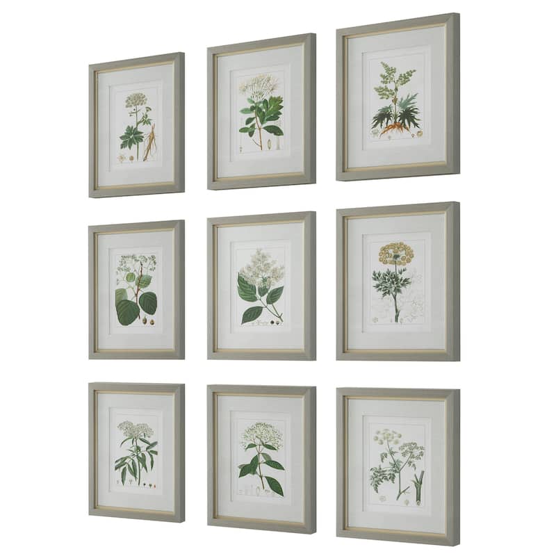 Uttermost Antique Botanicals Framed Prints, S/9 - 16.75 W x 19.5 H x 1.75 D (inches)