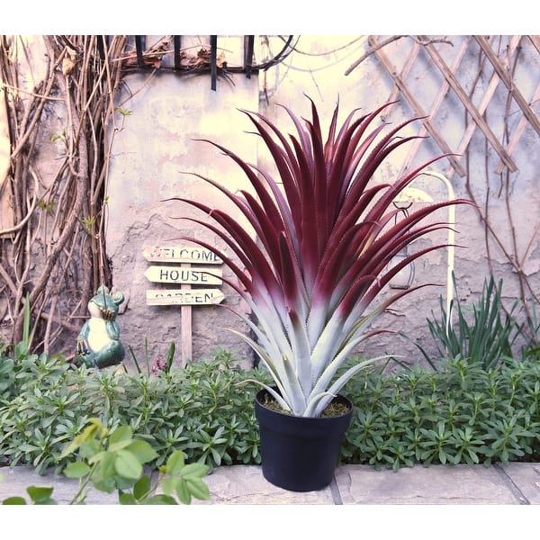 dracaena tall plant Simply Trees Dracaena Lisa Indoor Houseplant (4-5 Feet), Easy to Maintain Air Purification Plant, Great Low-Maintenance Office Decor, Living Room main image 0