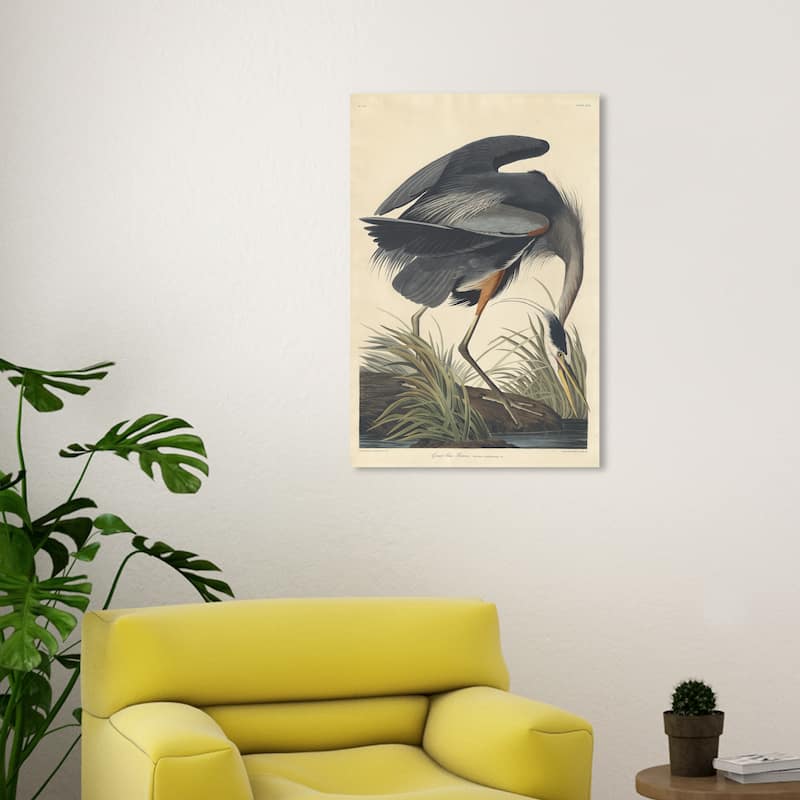 Wynwood Studio Canvas Animals Robert Havell - Great blue Heron Gray and Traditional Wall Art Canvas Print - 30 x 20