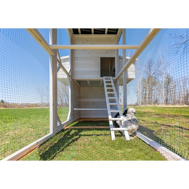 Zylina Modern Walk-in Chicken Coop
