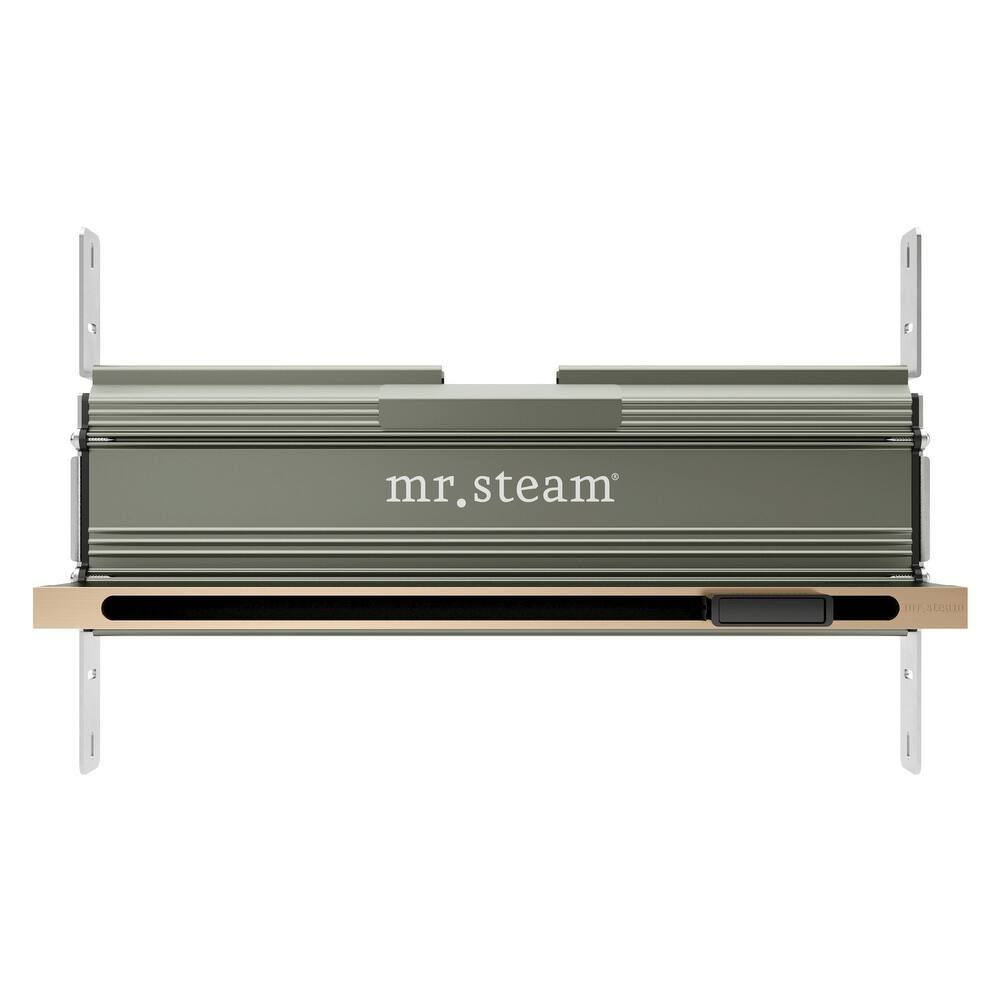 Mr Steam Linear Steam Head