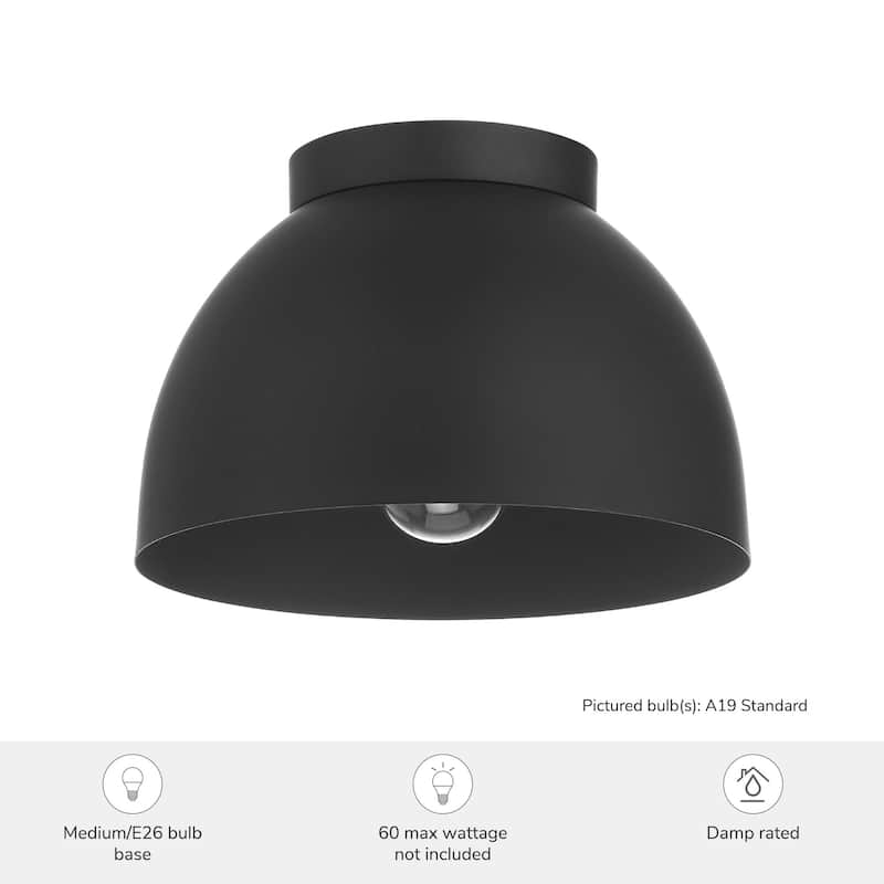 Hunter Erling 1-Light Medium Flush Mount Ceiling Light - Modern - Hallway, Bathroom, Entry, Laundry Room - Damp Rated!