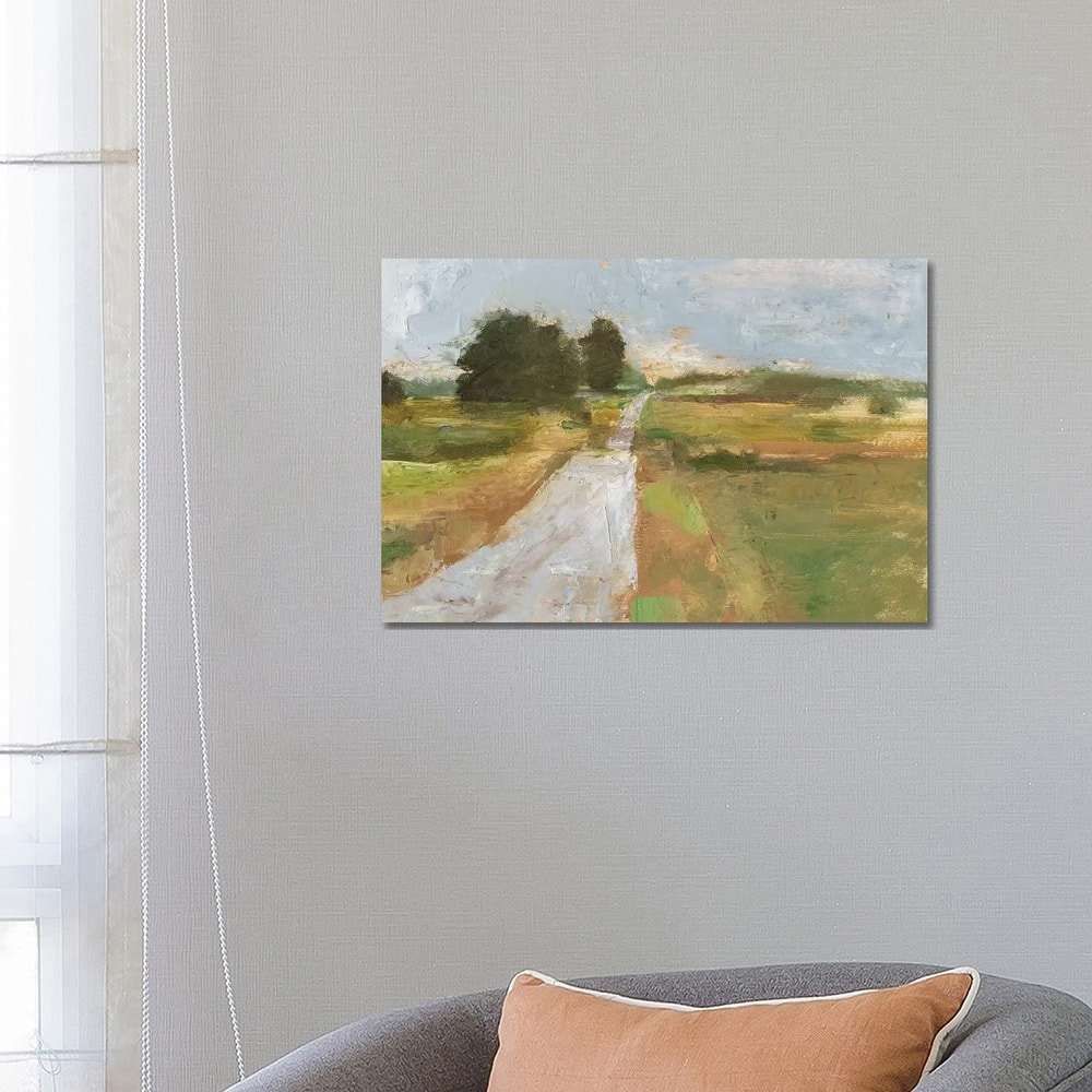 iCanvas "Back Country Road I" by Ethan Harper Canvas Print