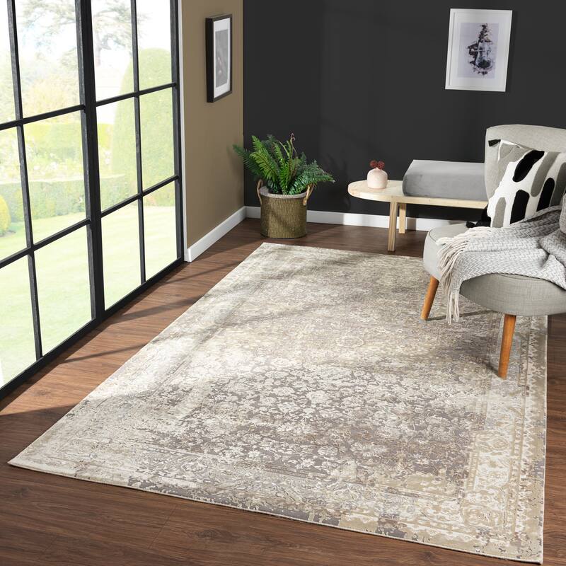 Cecilia Ultra-Soft Performance Indoor Area Rug by Sevita - 4' x 6' - Gray