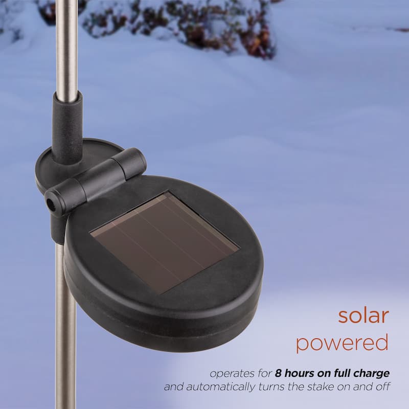 Alpine Corporation Outdoor Garden Stakes LED Lights (Set of 2)