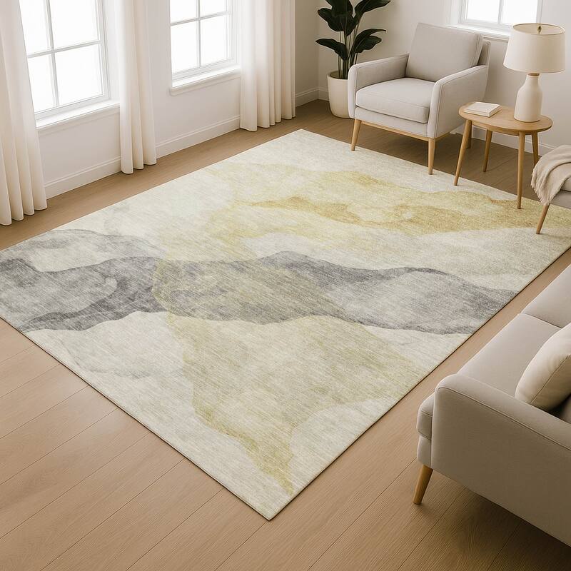 Premium Washable Super Soft Contemporary Fizal Mayfield Rug