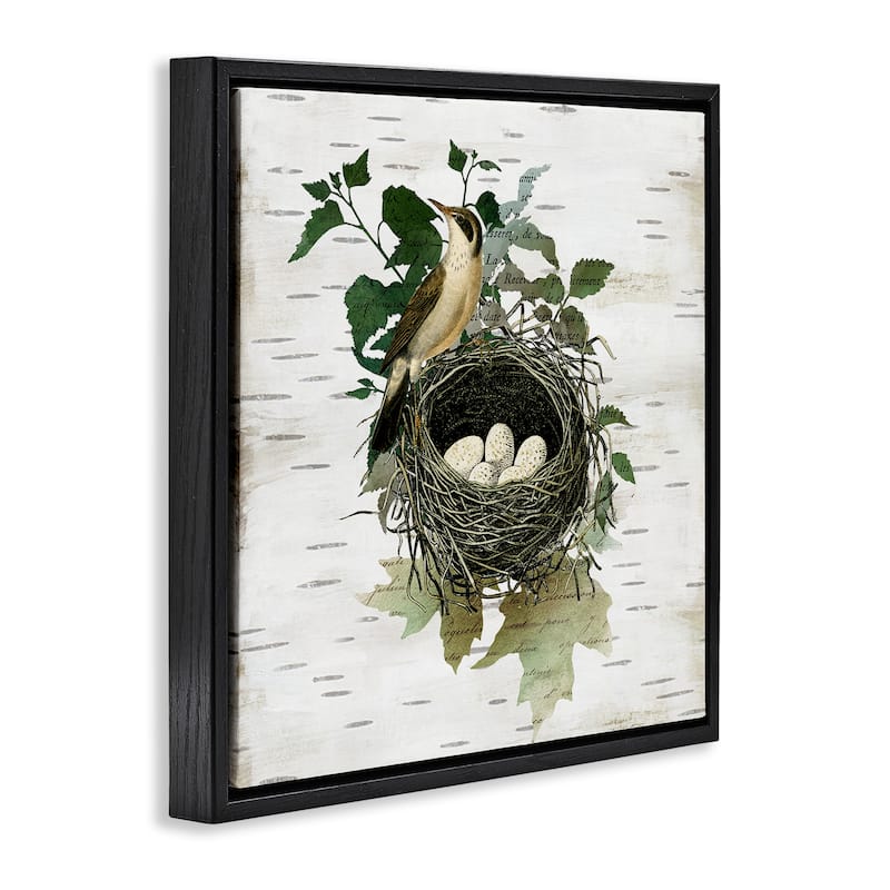 Stupell Vintage Bird Nest & Flora Framed Floater Canvas Wall Art Design By Susan Arnot