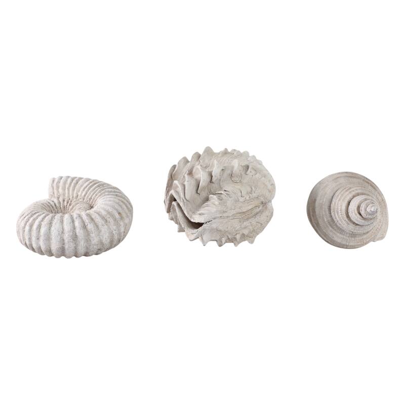 Polyresin Sculpture Coastal Shell Design (Set of 3) - 5/3" Ivory - 6.25" x 4.5" x 4.75"