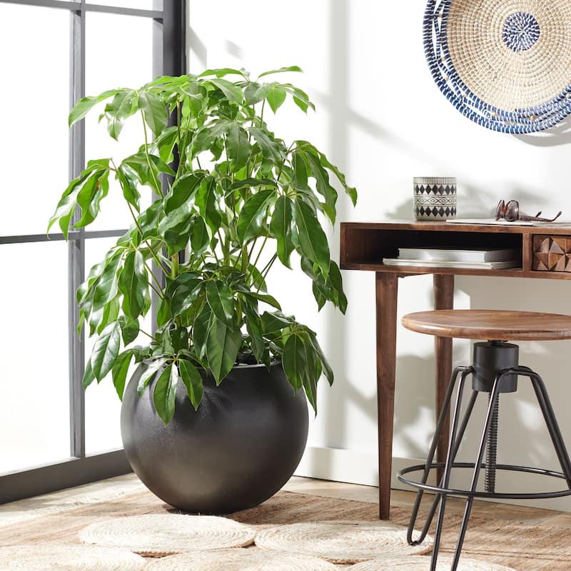 SAFAVIEH Outdoor Kenslia Black Planter.